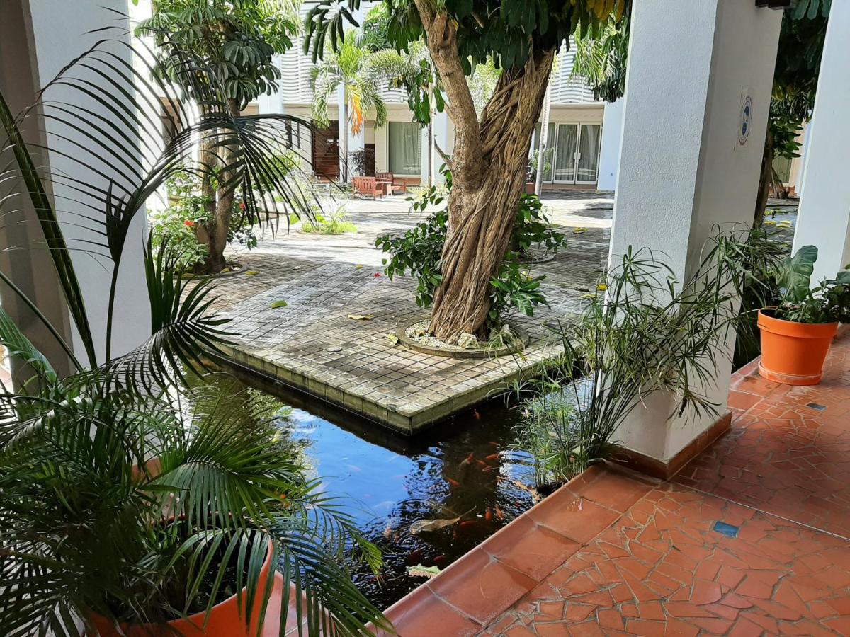 Apartmán F3 _ Kaz Ananas Passion Au Manganao Saint-Francois  Exteriér fotografie